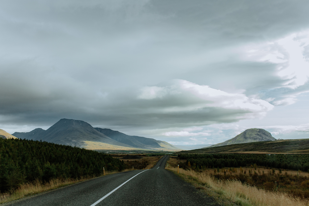 Long road, in Iceland, flanked by brush of assorted colors, leading to large mountains on the left and right, and engulfed by clouds above.