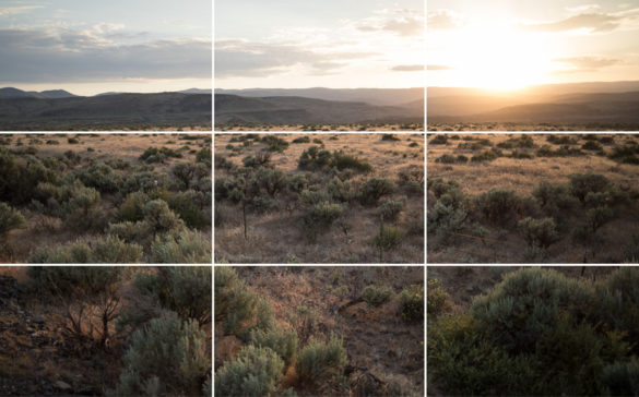 How to Take Good Landscape Photos – Formed From Light