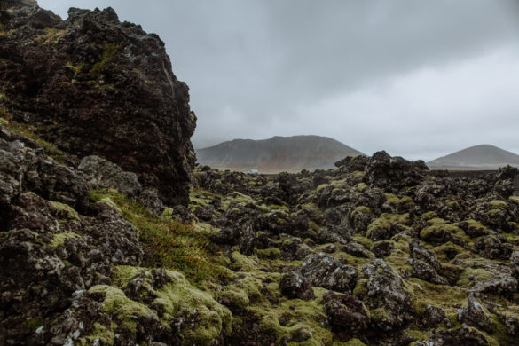 Berserkjahraun Lava Field: The Most Underrated Attraction in Iceland ...