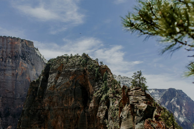 zion-national-park-utah