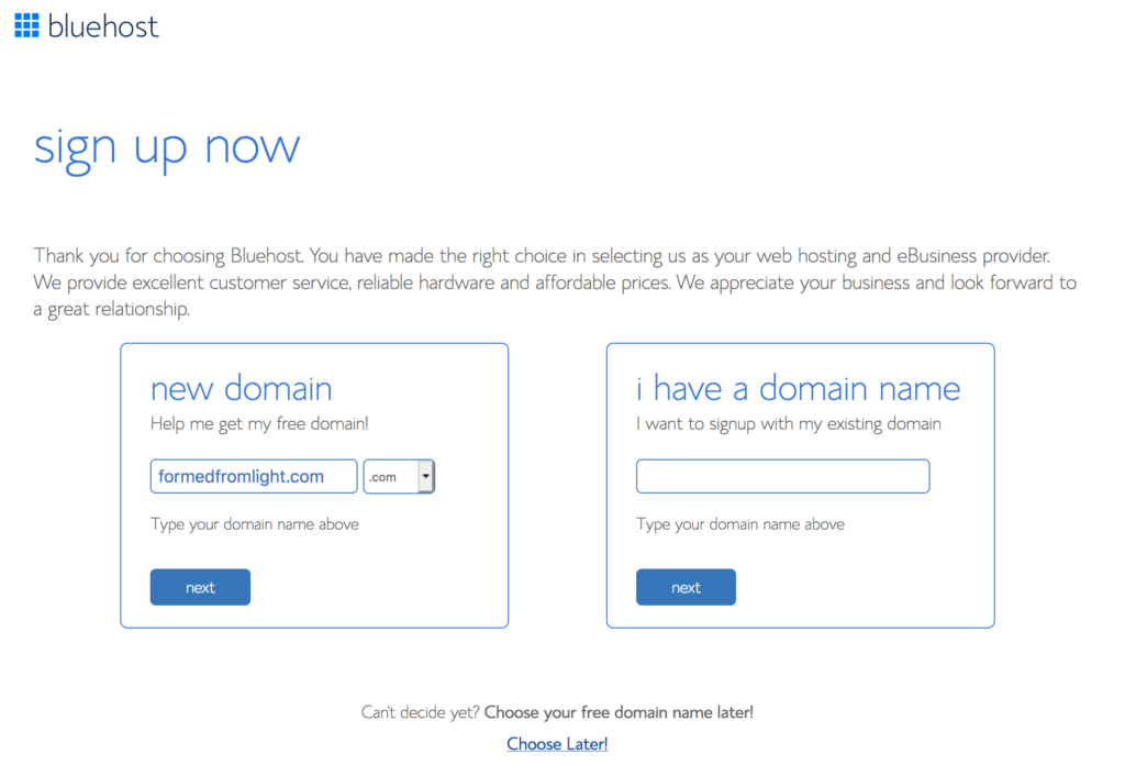 bluehost-web-domain