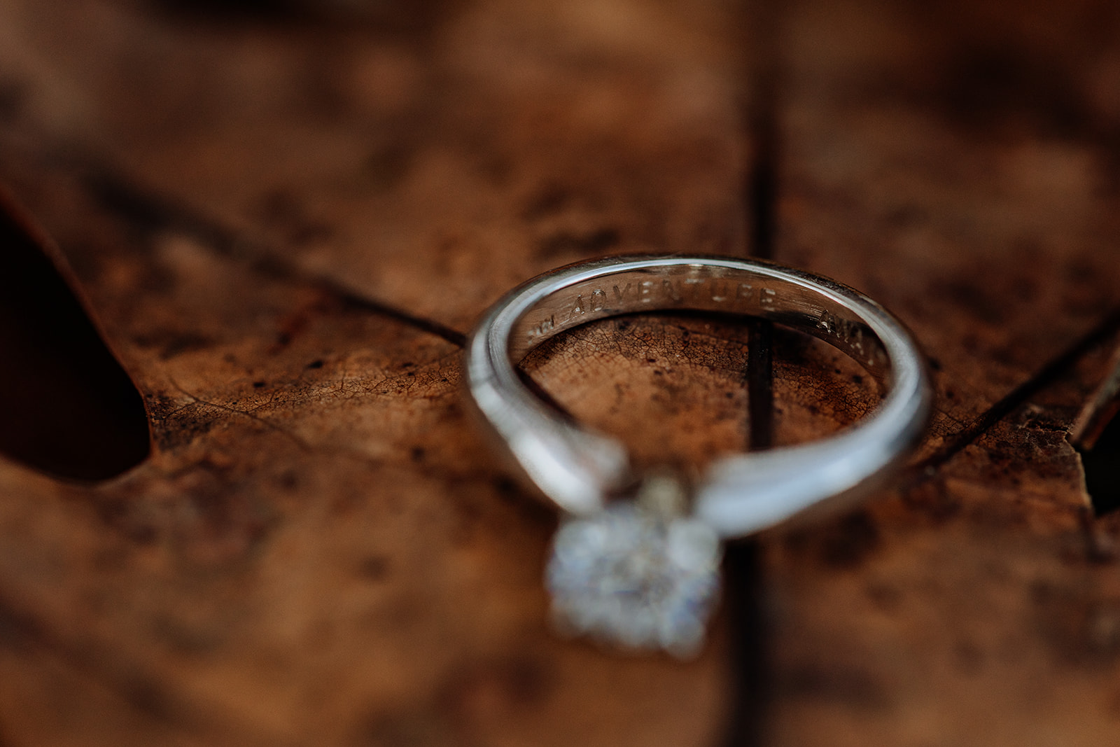 The Ring Shot | World's Best Wedding Photography