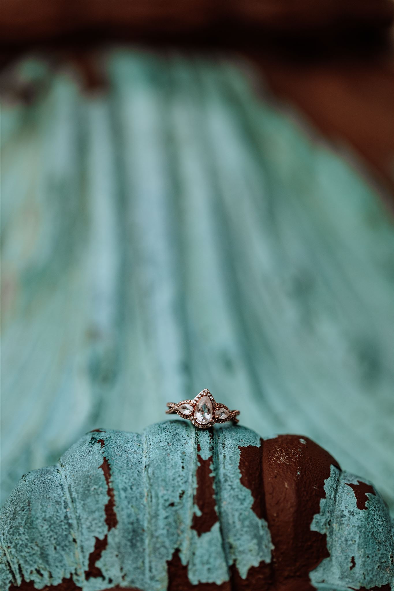 engagement-ring-photograph-watercolor