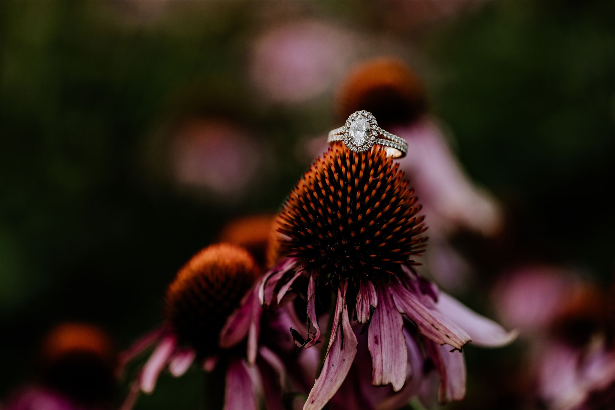 engagement-ring-photography