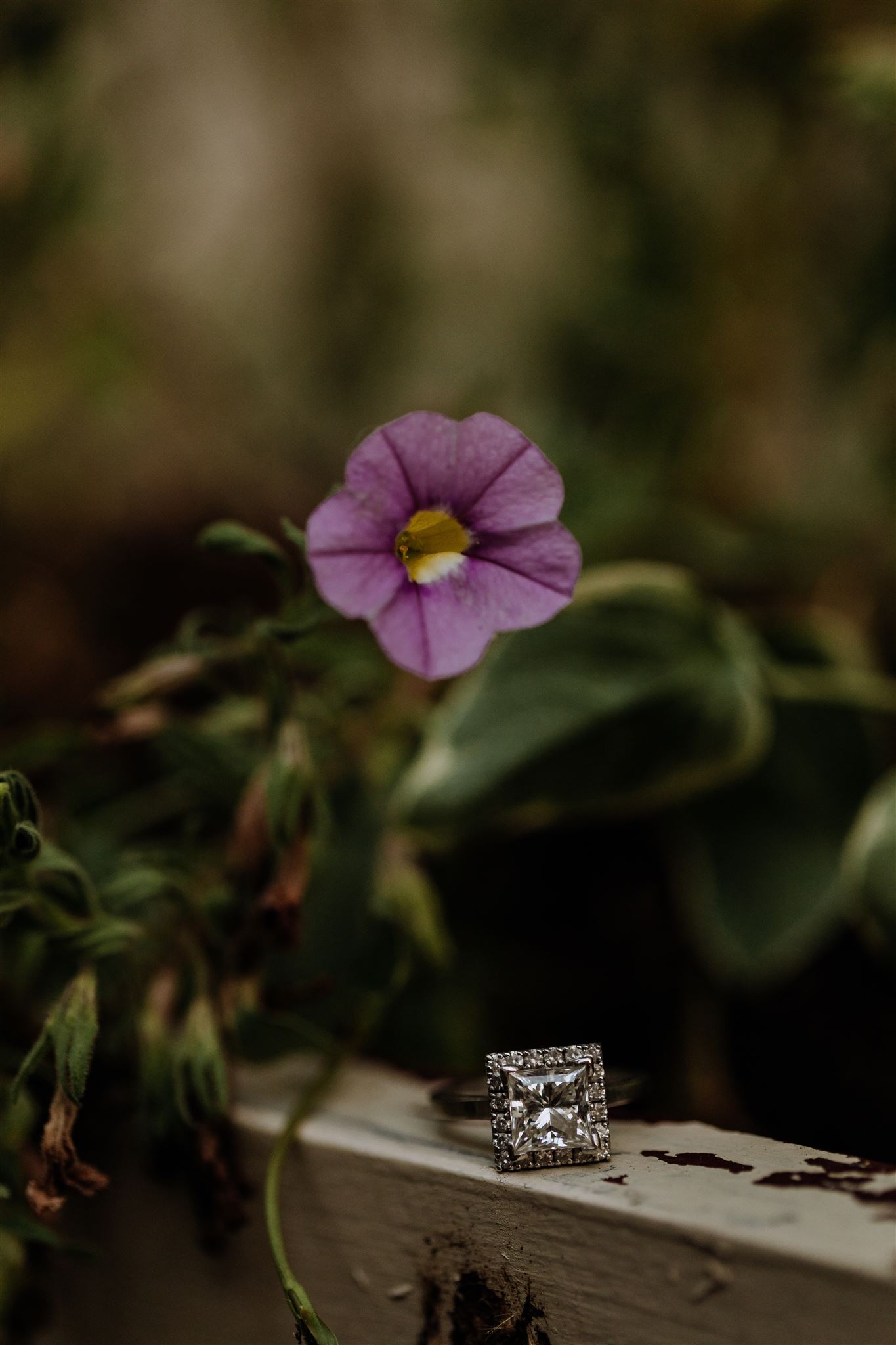 engagement-ring-photography-tips