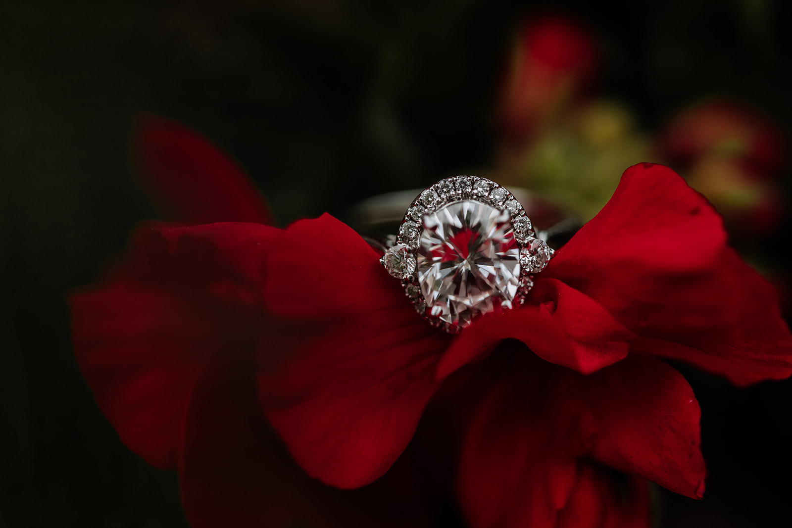 artistic wedding photography diamond engagement ring shot