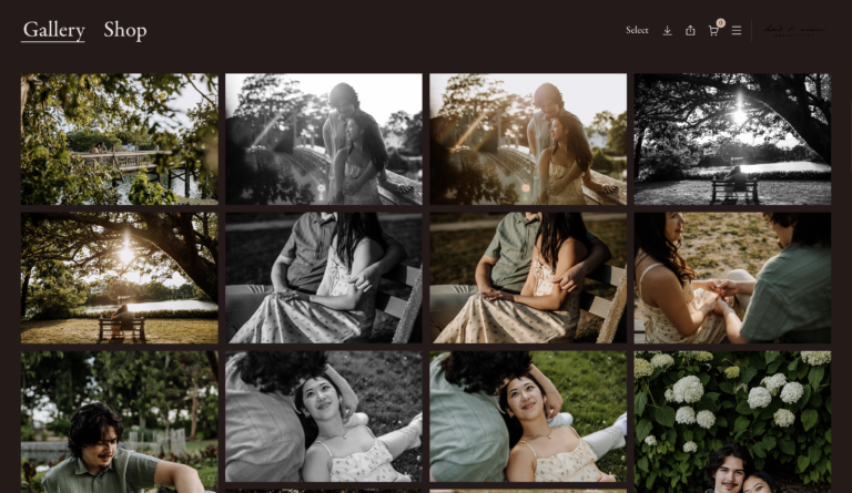 pictime review online gallery screenshot