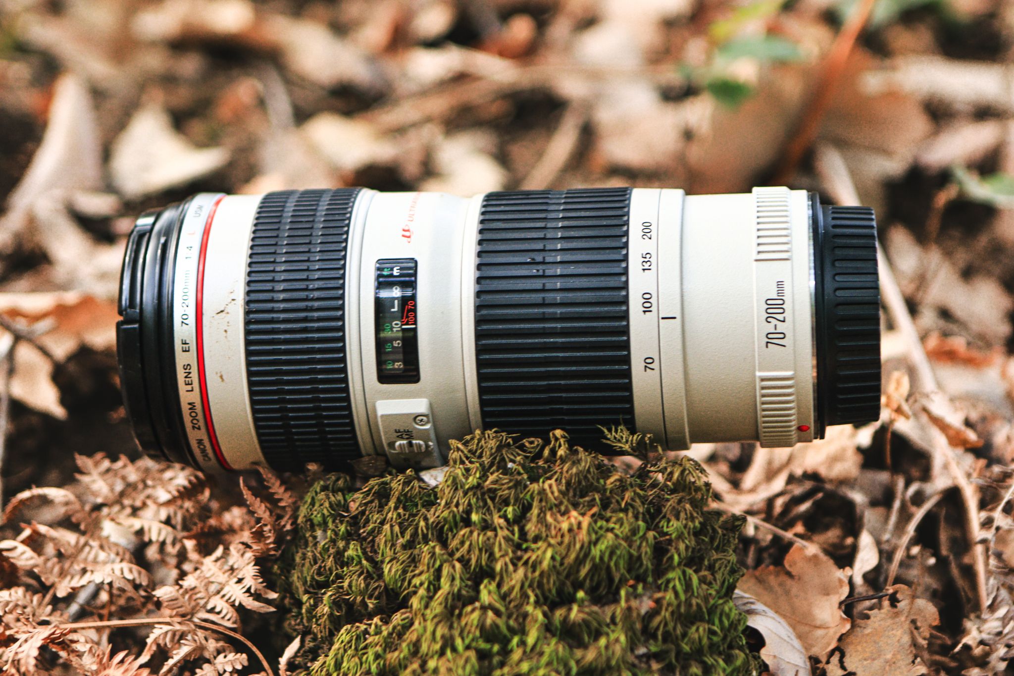 Close-up of a telephoto lens resting in a natural forest setting, showcasing intricate details.